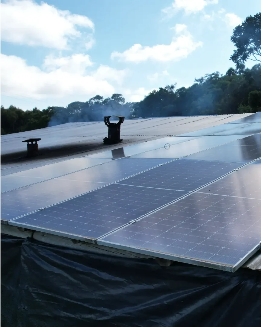 ecosun-projeto-finalizado-03